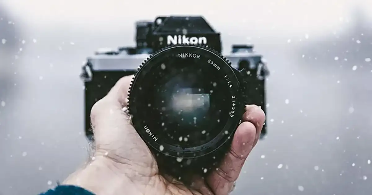 【動画性能】ニコン(Nikon)の一眼レフカメラ